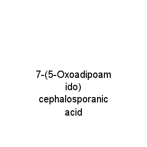 7-(5-Oxoadipoamido) cephalosporanic acid